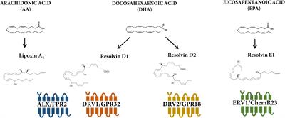 Lipoxin and Resolvin Receptors Transducing the Resolution of Inflammation in Cardiovascular Disease